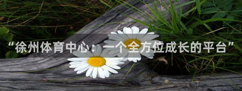 yy易游官方正版app集团官网首页网址:“徐州体育中心:一个