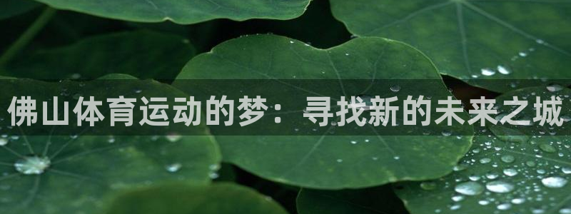 yy易游官方正版app集团logo:佛山体育运动的梦:寻找新